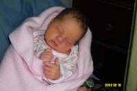 "sweet cheeks" Mcglade - Click image for larger view