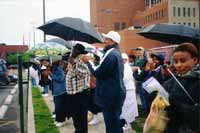 Click image for larger view