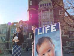 Click image for larger view