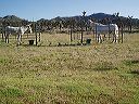 march_16th_031