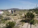 march_18th_011