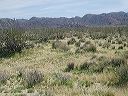 march_18th_017