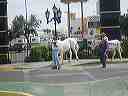 march_22-24thst_022