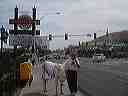 march_22-24thst_026