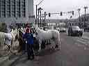 march_22-24thst_029