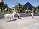 march_27th_005