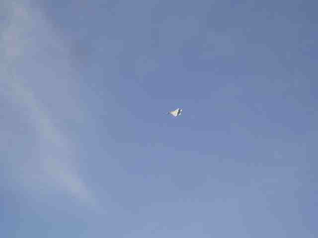 march_29th_063.jpg