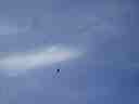 march_29th_064
