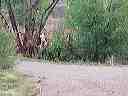 april_3--_hurricane_valley__utah_015
