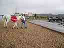 april_3--_hurricane_valley__utah_016