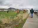april_3--_hurricane_valley__utah_027
