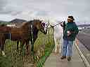 april_3--_hurricane_valley__utah_032