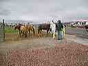 april_3--_hurricane_valley__utah_034