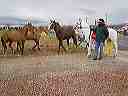 april_3--_hurricane_valley__utah_035