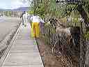 april_3--_hurricane_valley__utah_047