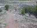 april_7_highway_70__utah_028