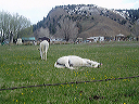april_24__woodcolt_colorado_023