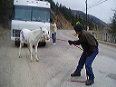 april_29__colorado_026