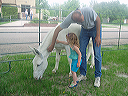 may_10__goodlands_kansas_029