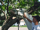may_11__brewster_kansas_007