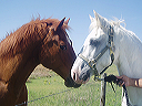may_14__hays_kansas_020