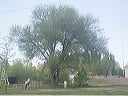 may_7__i-70_colorado_024
