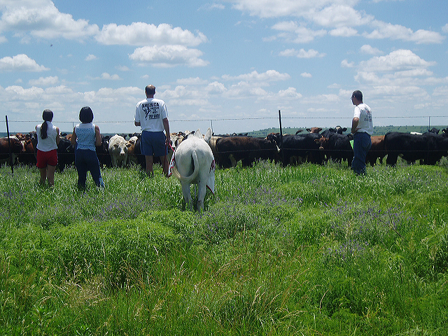 june_3__eureka_kansas_023.jpg