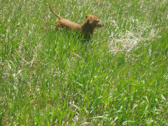 may_12__colby_kansas_008.jpg