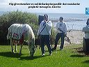 walk_across_america_prophetic_tour_026