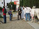 walk_across_america_prophetic_tour_087