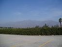 seventh_020