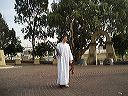 seventh_071