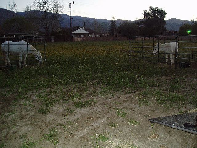 march_10th_001.jpg