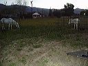 march_10th_001