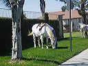 march_10th_006