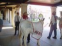 march_11-13_005