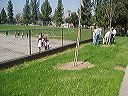 march_11-13_007