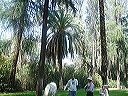 march_11-13_014