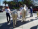 march_11-13_016