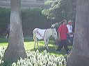 march_11-13_026