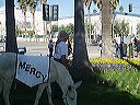 march_11-13_035
