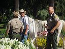 march_11-13_037