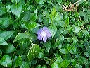 march_11-13_064