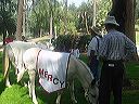 march_11-13_065