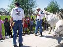 march_11th_059